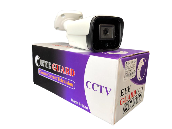 دوربین تحت شبکه eyeguard مدل eg-92130 ipc.a